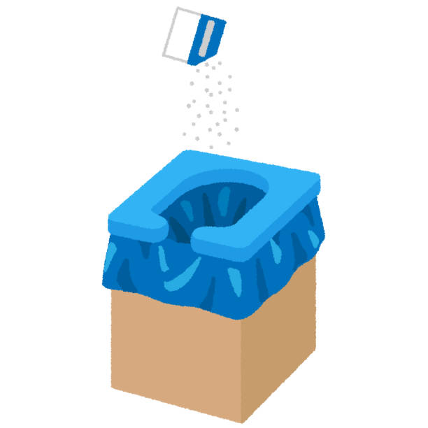 Best Local porta potty services  in Emmetsburg, IA